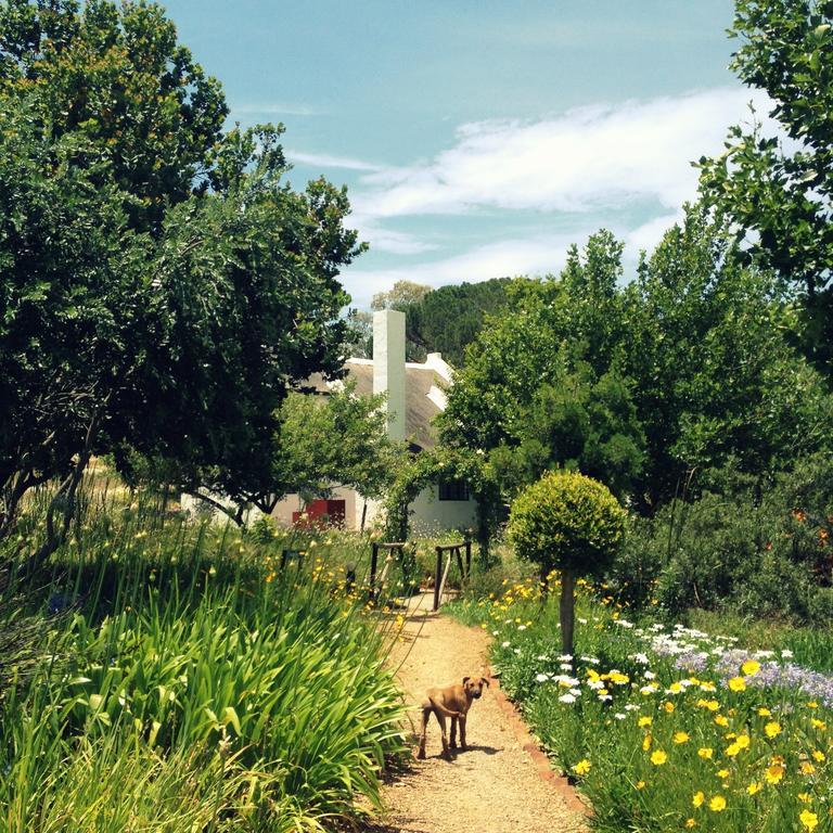 Mooi Bly Paarl Quarto foto