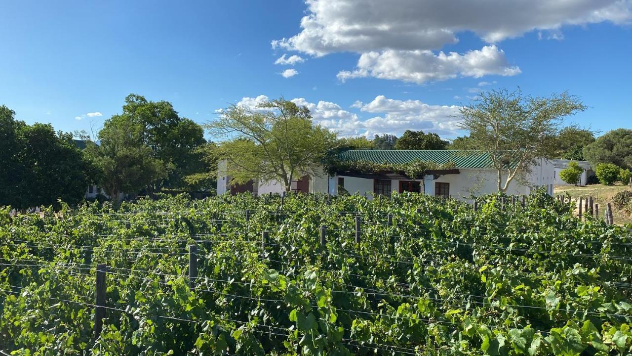 Mooi Bly Paarl Exterior foto