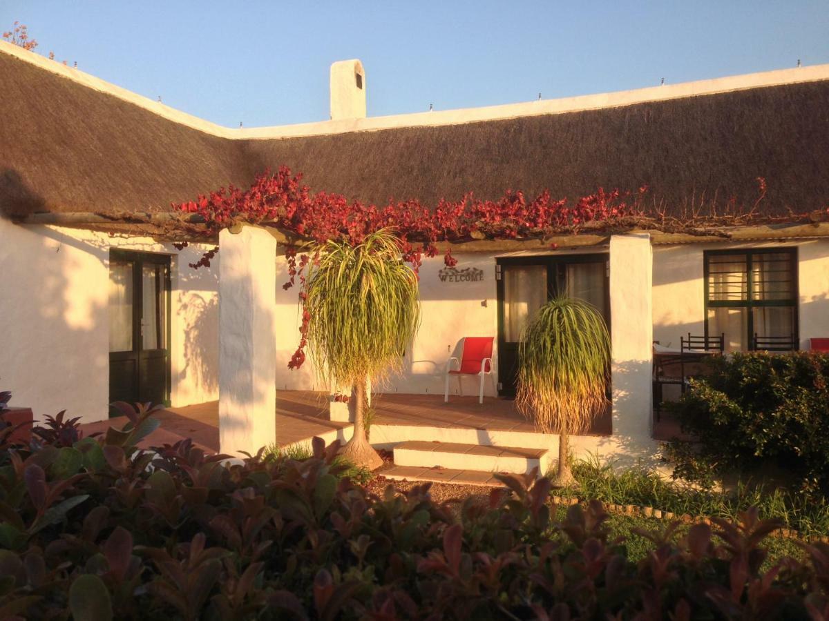 Mooi Bly Paarl Exterior foto
