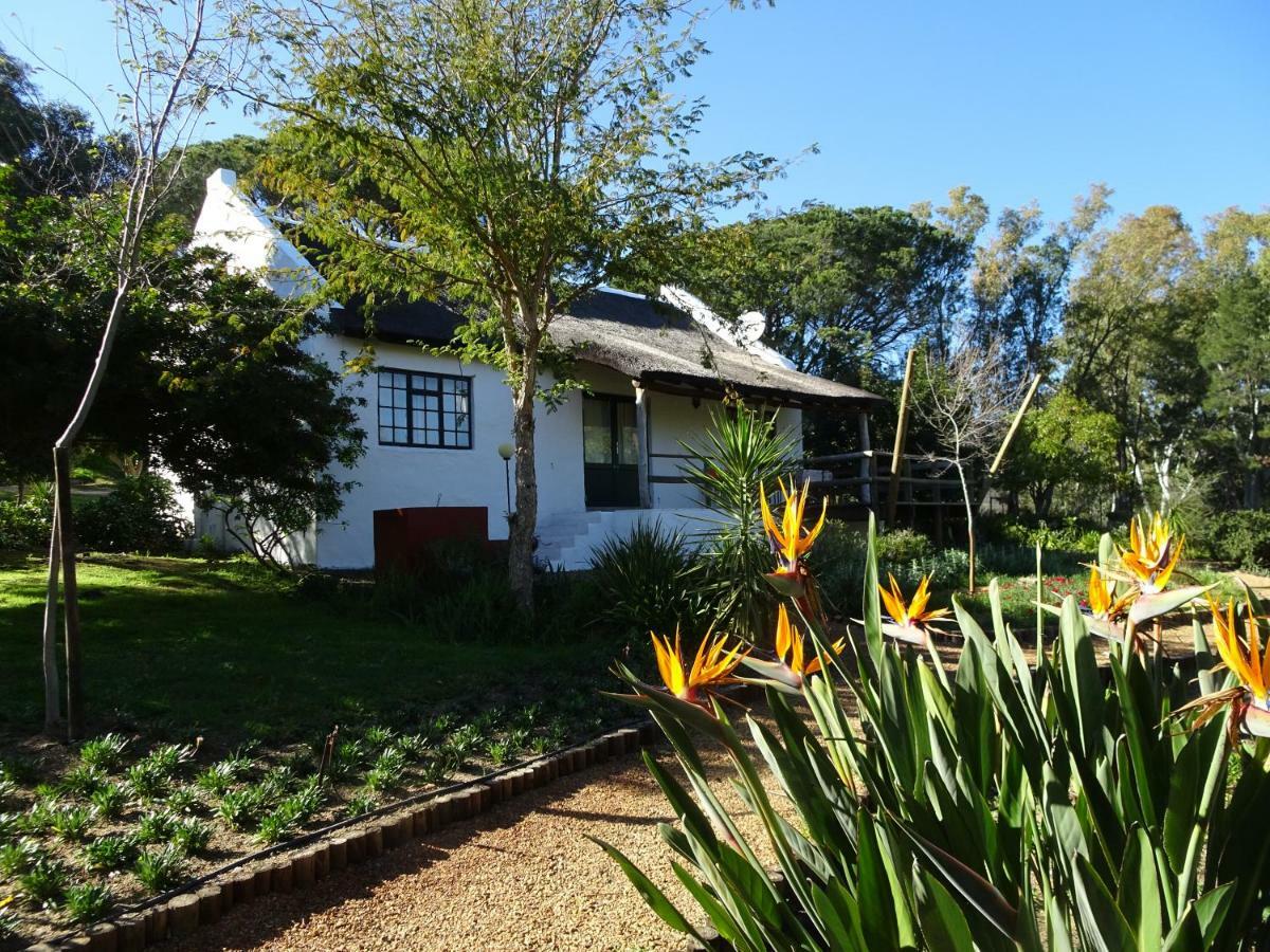 Mooi Bly Paarl Exterior foto