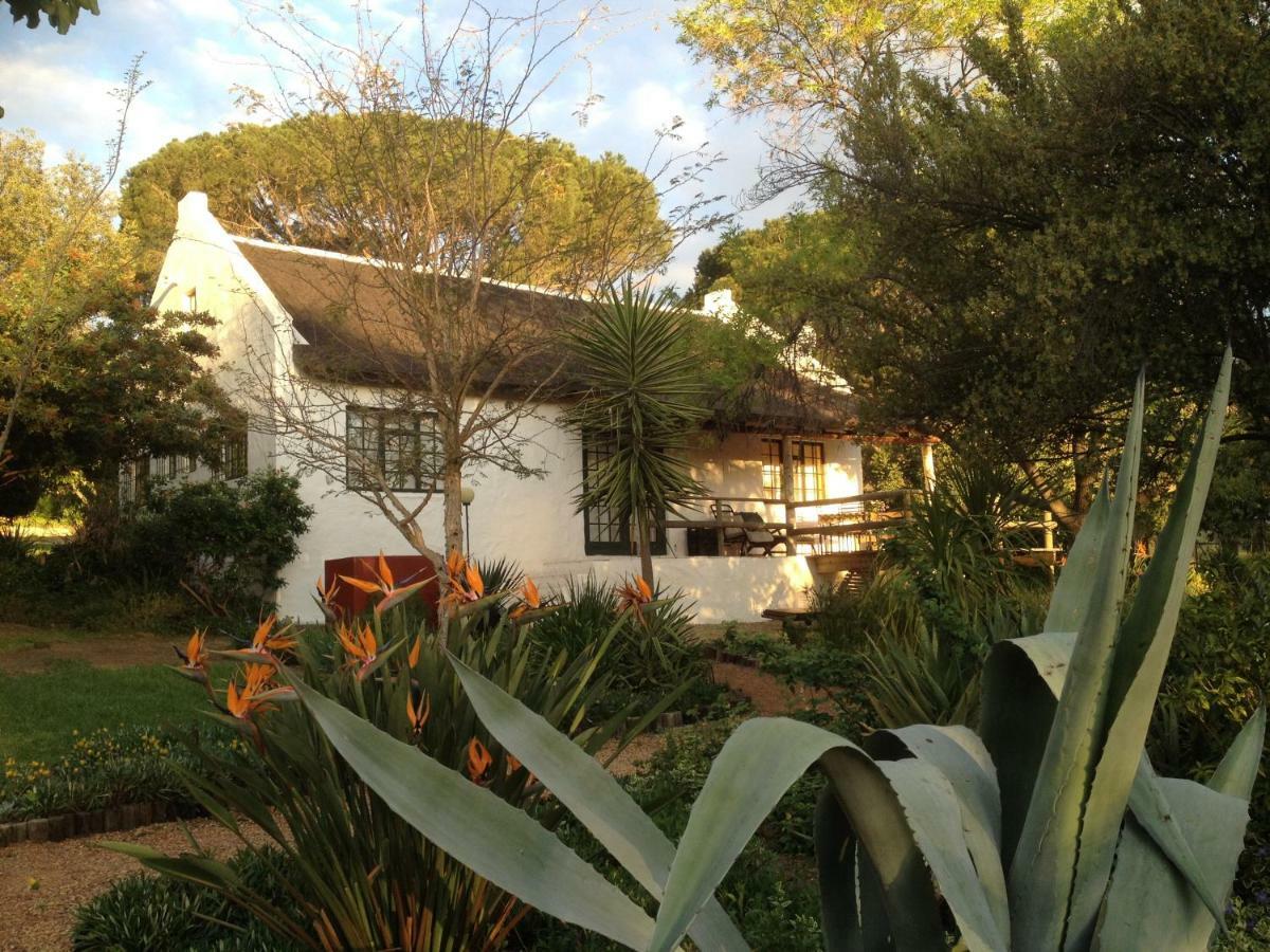 Mooi Bly Paarl Exterior foto